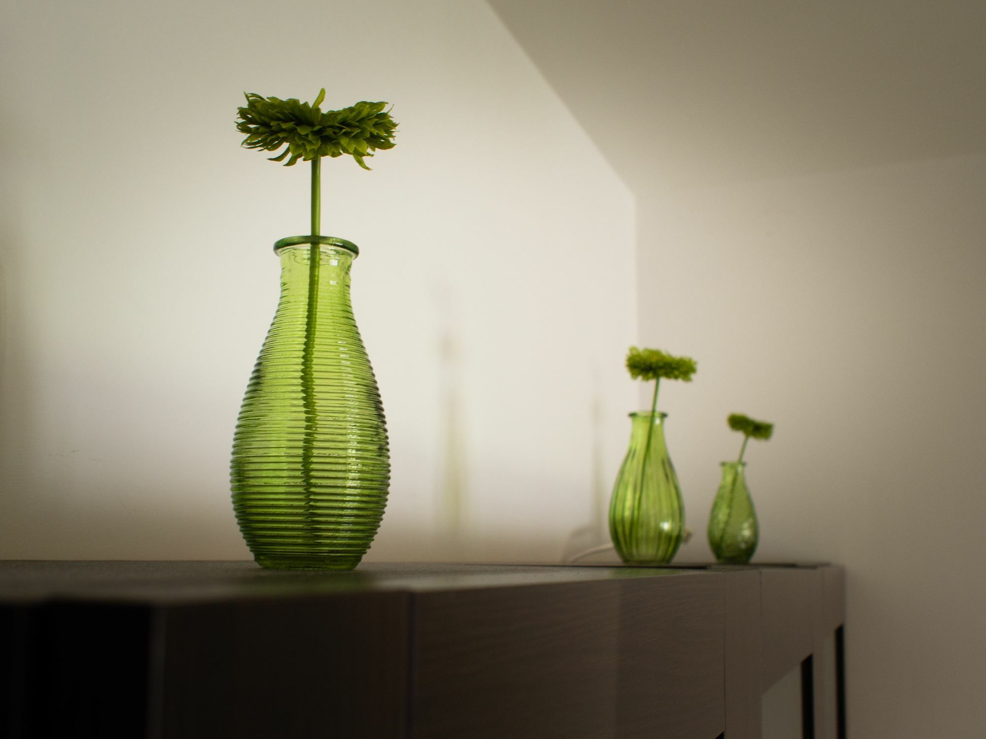 Green Park Apartments シフィノウイシチェ エクステリア 写真